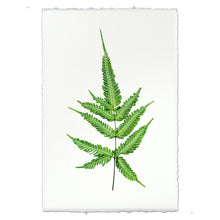 Load image into Gallery viewer, Fern #4
