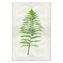 Load image into Gallery viewer, Fern #5
