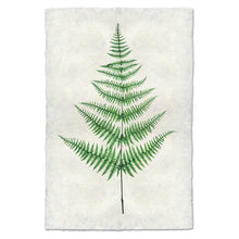 Load image into Gallery viewer, Fern #9
