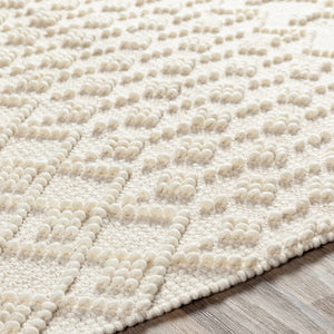 Brothers Beige Wool and Cotton Rug