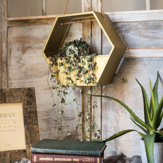 Gold Metal Planter Hexagon Hanging Planter