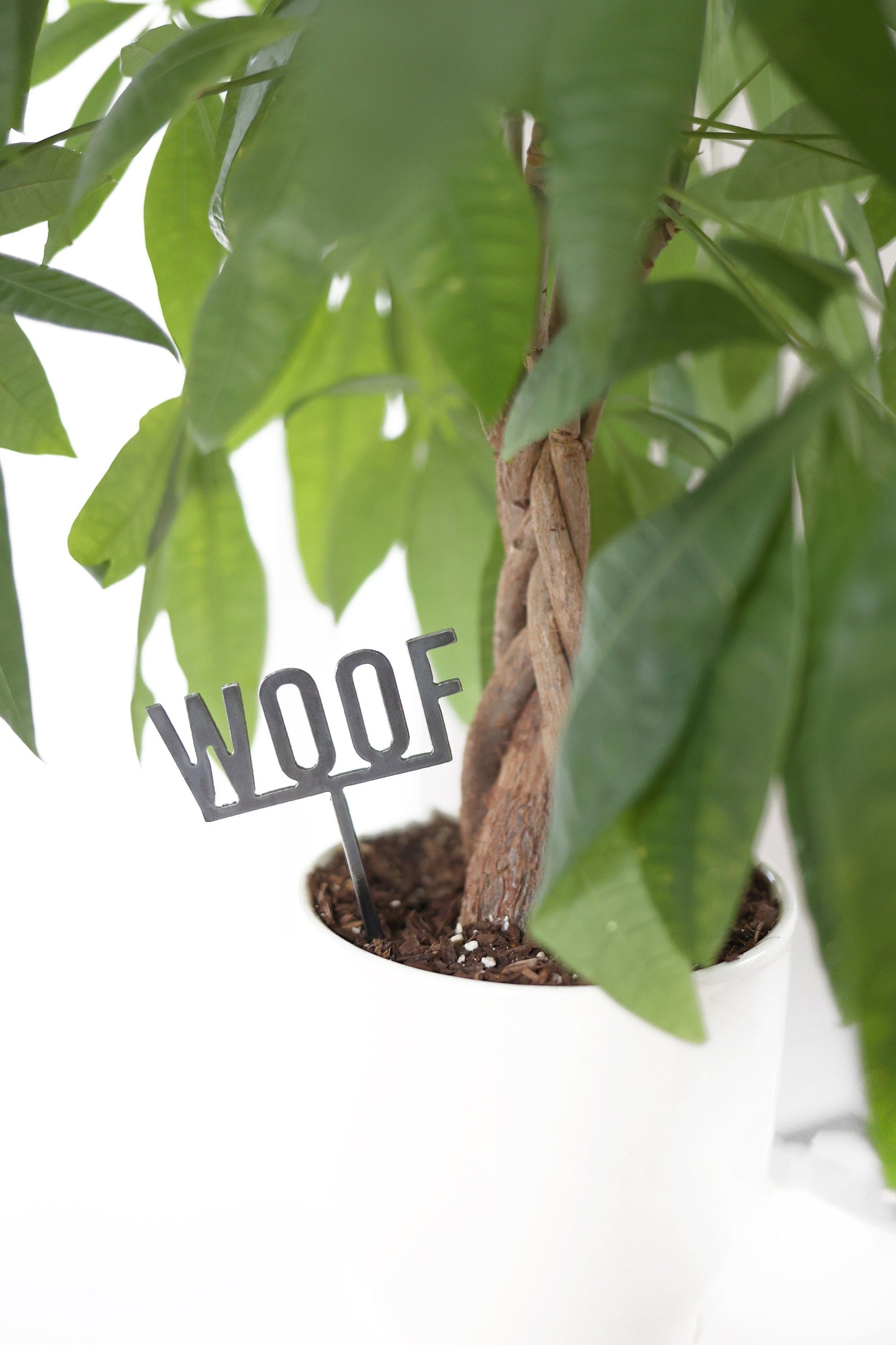 Woof Plant Stake