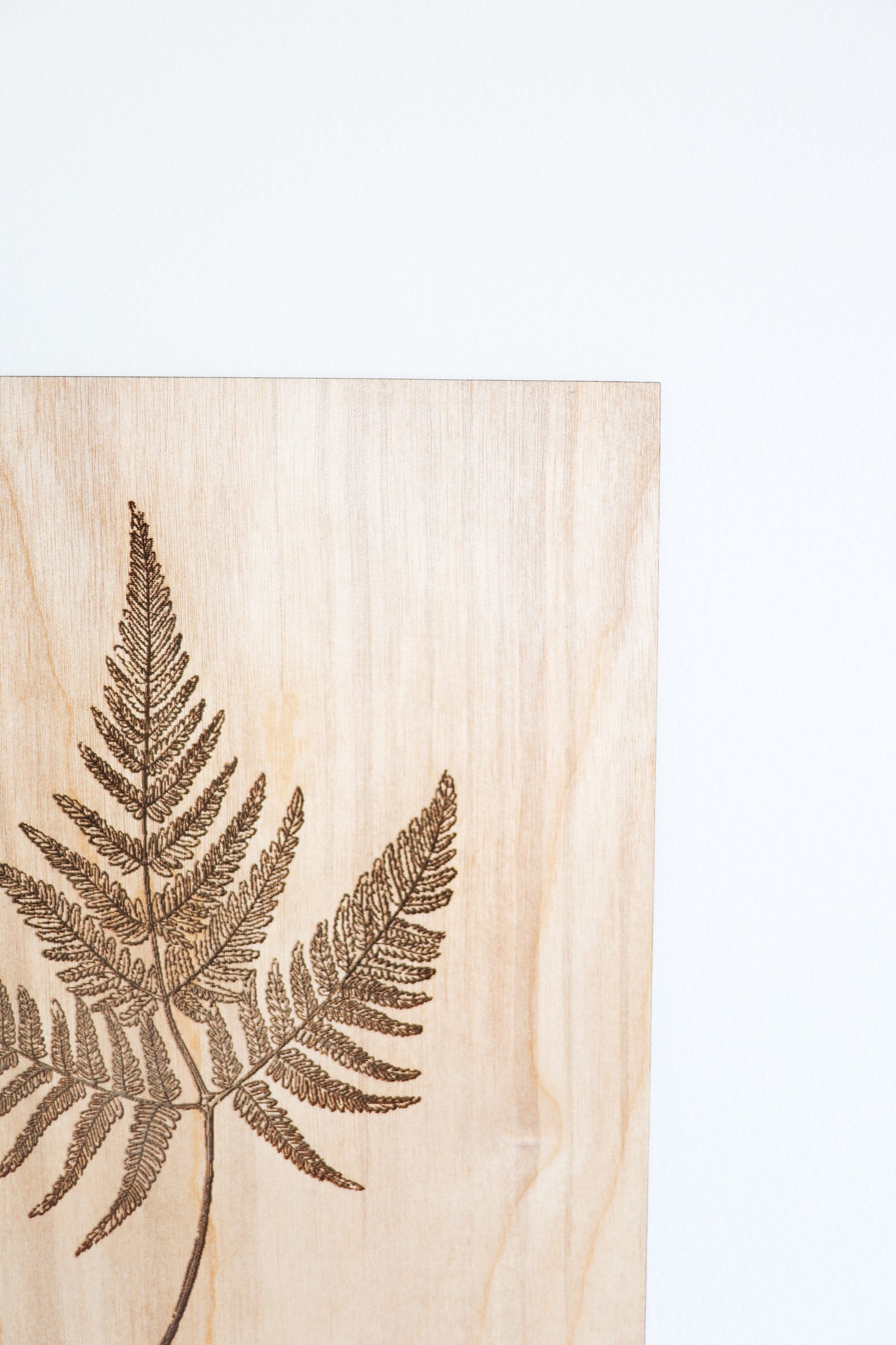 Wooden Fern Panel Wall Art