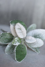 Load image into Gallery viewer, 28&quot; Faux Iced Lambs Ear Stem
