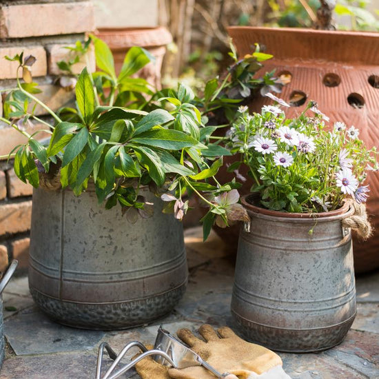 Metal Flower Pail with Rope Handles