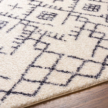Load image into Gallery viewer, Elyes Beige Washable Area Rug
