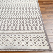 Load image into Gallery viewer, Drago Gray Washable Area Rug
