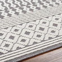 Load image into Gallery viewer, Drago Gray Washable Area Rug
