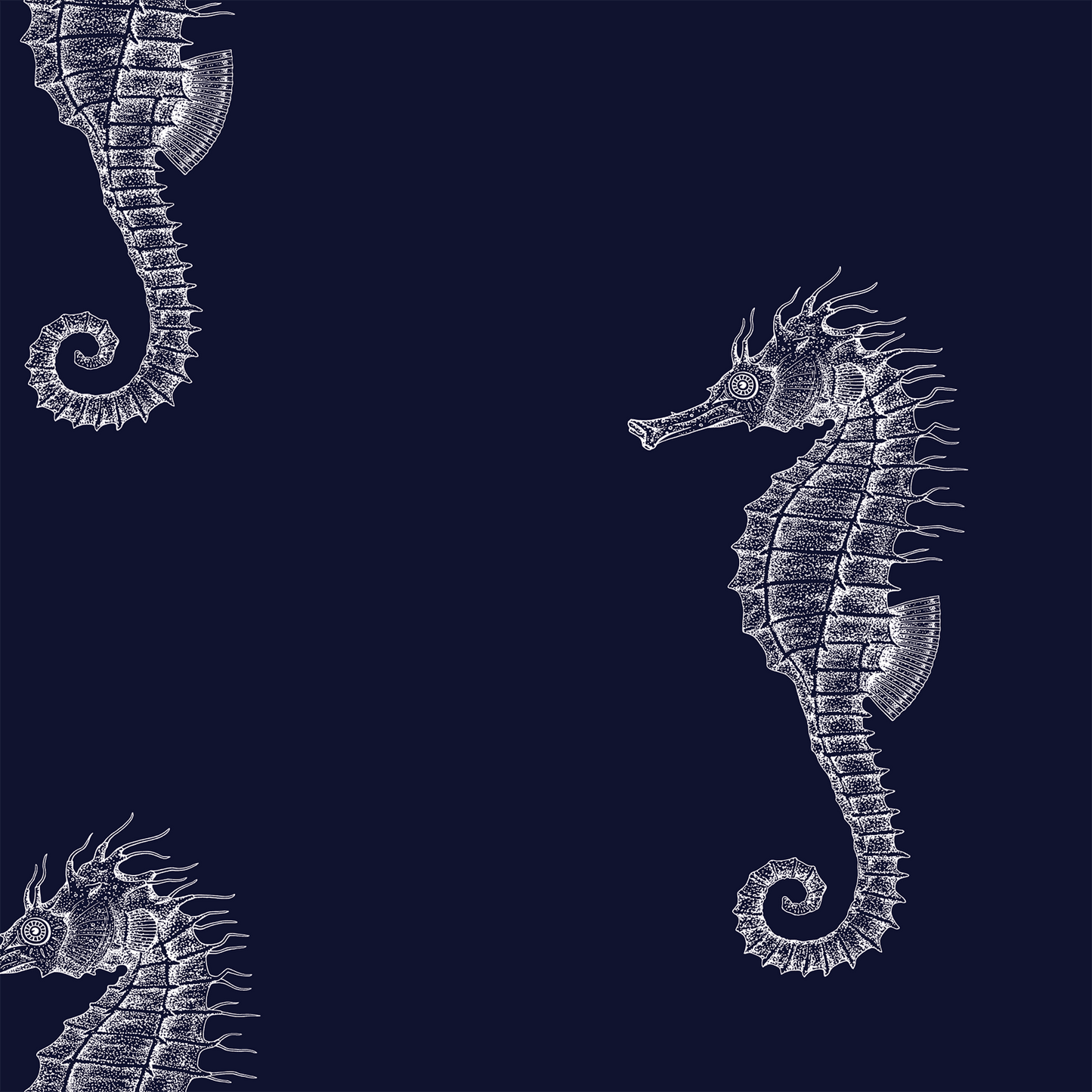 Ocean Seahorses on Navy