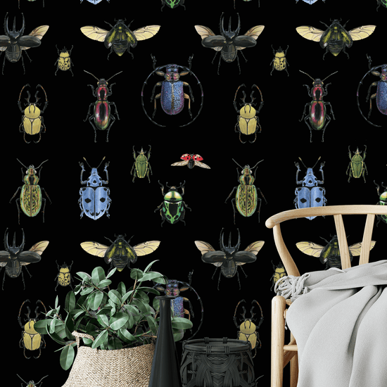 Natural Wonder Beetles in Black