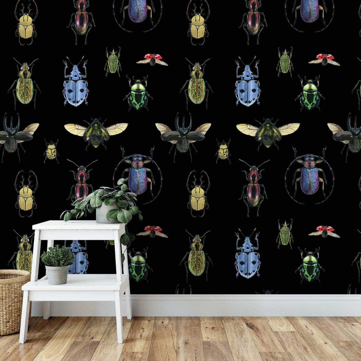 Natural Wonder Beetles in Black