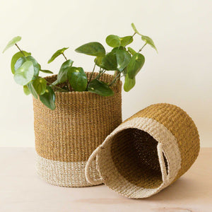 Mustard Baskets with Handles, Set of 2