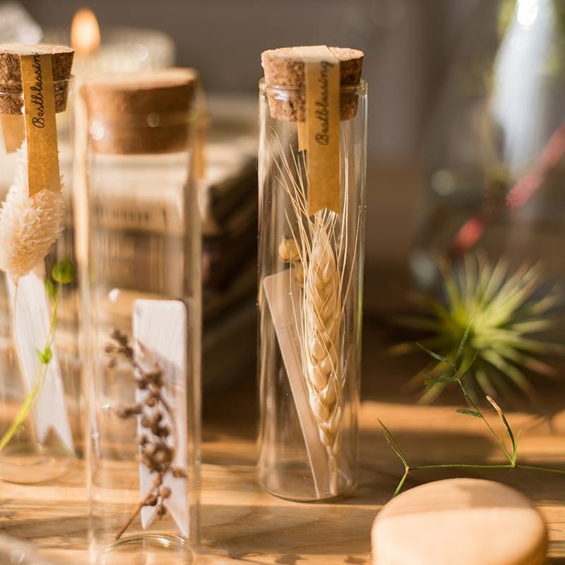 Natural Dried Flower in Glass Tube, Randomly Picked (Set of 5)