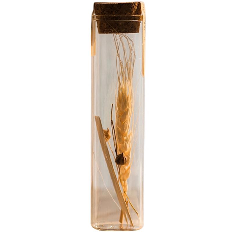 Natural Dried Flower in Glass Tube, Randomly Picked (Set of 5)