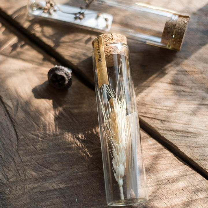 Natural Dried Flower in Glass Tube, Randomly Picked (Set of 5)