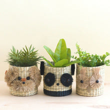 Load image into Gallery viewer, Panda Seagrass Basket Planter
