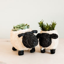 Load image into Gallery viewer, Baby Sheep Planter

