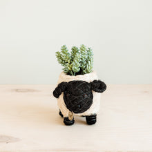 Load image into Gallery viewer, Baby Sheep Planter
