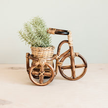 Load image into Gallery viewer, Bicycle Rattan Planter, Large

