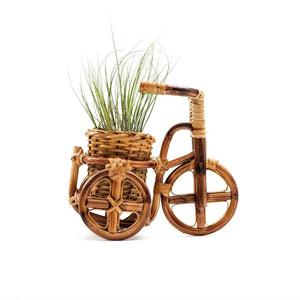 Bicycle Rattan Planter, Medium