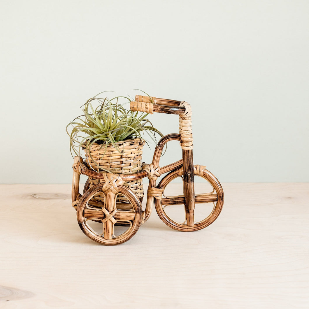 Bicycle Rattan Planter, Medium
