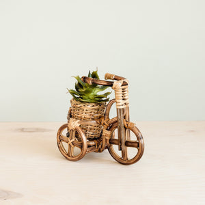 Bicycle Rattan Planter, Small