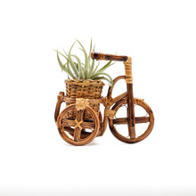 Load image into Gallery viewer, Bicycle Rattan Planter, Small
