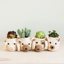 Load image into Gallery viewer, Dog Succulent Planter - Animal Head Plant Pot | LIKHÂ
