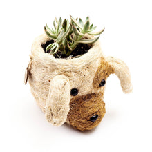 Load image into Gallery viewer, Puppy Planter
