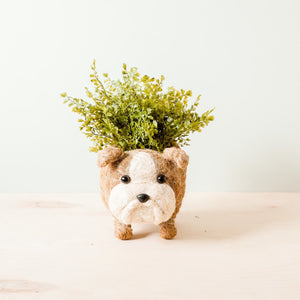 English Bulldog Planter - Coco Coir Pots | LIKHÂ