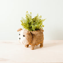 Load image into Gallery viewer, English Bulldog Planter - Coco Coir Pots | LIKHÂ
