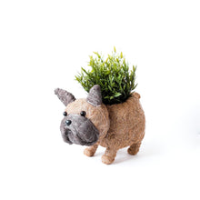 Load image into Gallery viewer, French Bulldog Planter
