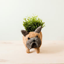 Load image into Gallery viewer, French Bulldog Planter
