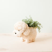 Load image into Gallery viewer, Poodle Planter
