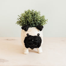 Load image into Gallery viewer, Pug Planter
