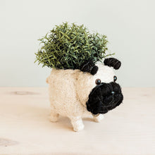 Load image into Gallery viewer, Pug Planter
