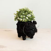 Load image into Gallery viewer, Schnauzer Planter
