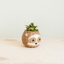 Load image into Gallery viewer, Two-tone Sloth Planter
