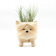 Load image into Gallery viewer, Westie Planter
