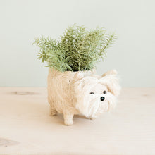 Load image into Gallery viewer, Westie Planter
