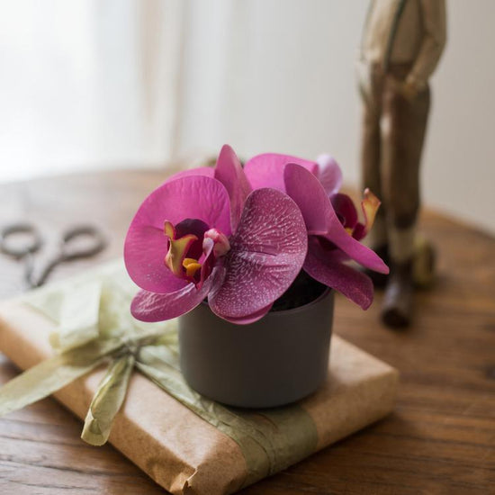 Potted Flower Mini Real Touch Potted Orchid in Purple