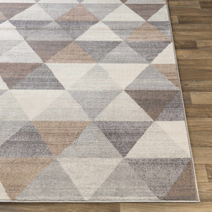 Sells Gray&Brown Triangles Area Carpet