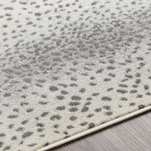 Load image into Gallery viewer, Pointblank Gray Leopard Print Rug
