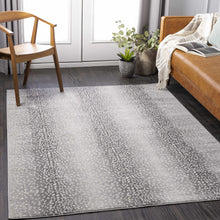 Load image into Gallery viewer, Pointblank Gray &amp; Charcoal Leopard Print Rug
