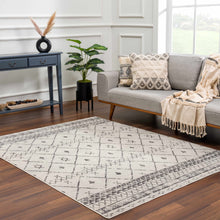 Load image into Gallery viewer, Newville Area Rug
