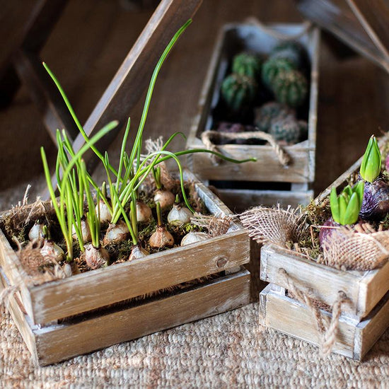 Solid Wood Crate With Rope Handles