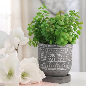 Tribal Pattern Planter with Saucer, Gray