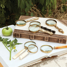 Load image into Gallery viewer, Magnifying Glass Collection, Set of 7, Assorted Styles
