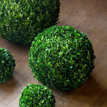 Load image into Gallery viewer, Preserved Boxwood Ball, 16&quot;
