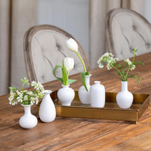 Load image into Gallery viewer, Petite Flower Vase Collection, Set of 6
